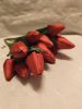 Tulipán csokor piros