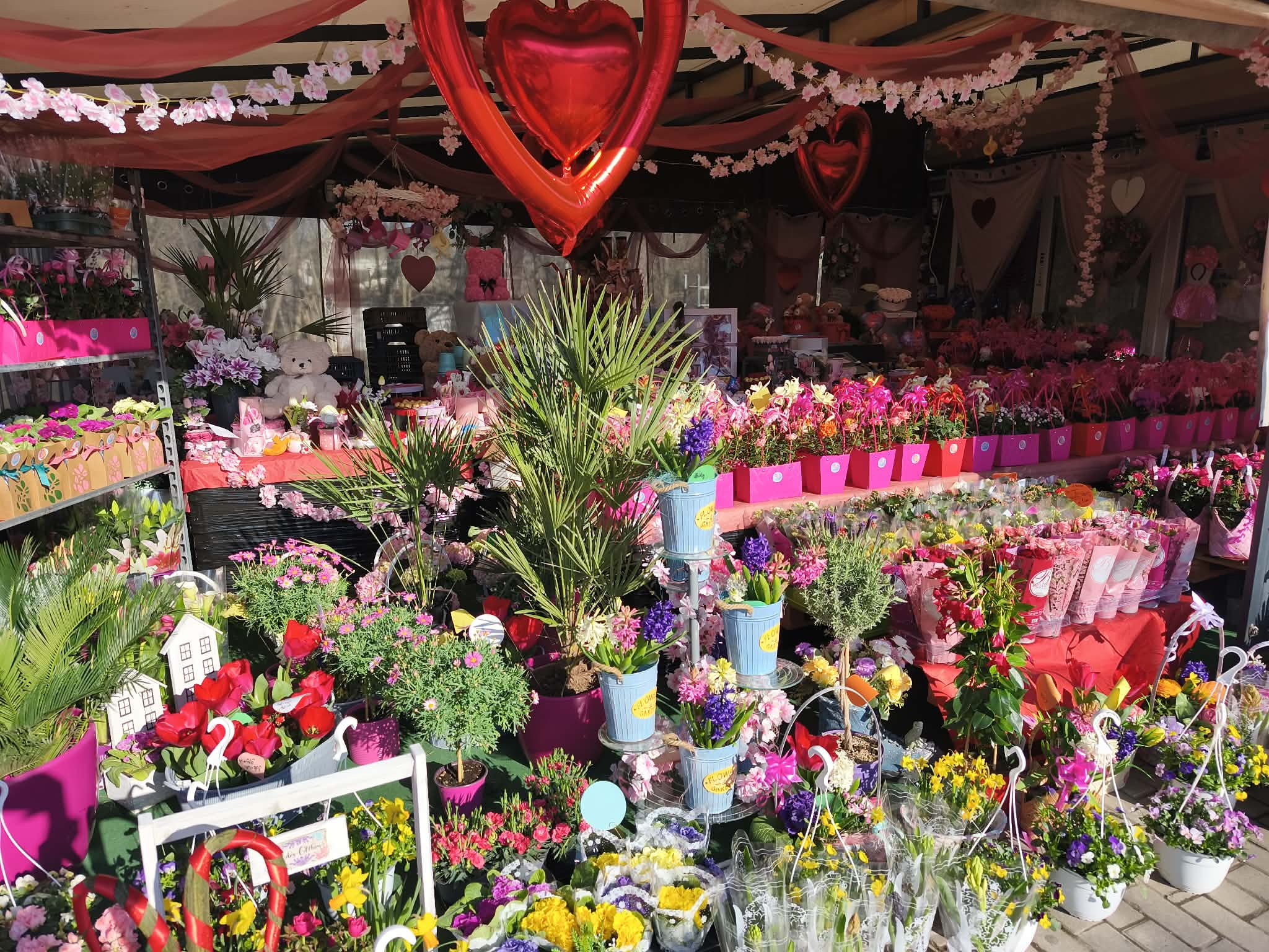 VMFlowers nőnapi választék